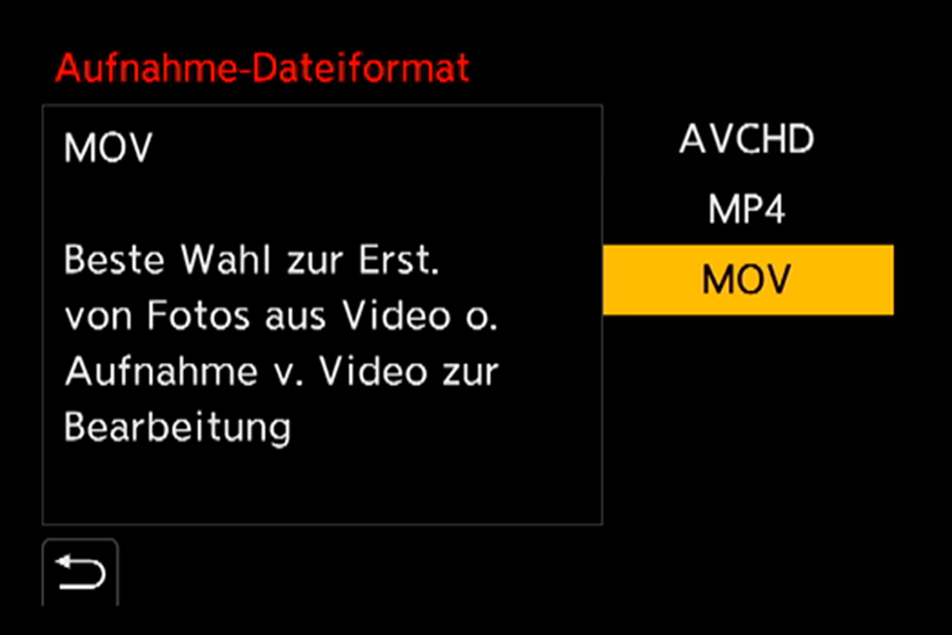 Untermenü, Aufnahme-Dateiformat